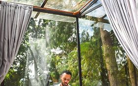 Cabañas de lujo - Casa Barcelona